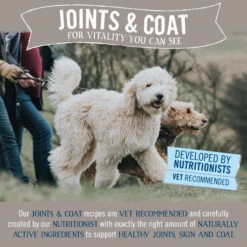 Butcher's Joints & Coat Wet Dog Food Trays 24 X 150g -Pet Dog Shop 51374 3 1