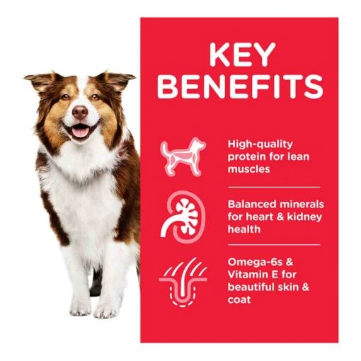 Hill's Science Plan Mature Adult Medium Dry Dog Food Lamb & Rice Flavour 14kg -Pet Dog Shop hills science plan dog medium adult lamb rice dry kibble kibbles special diet