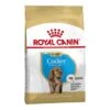 Royal Canin Cocker Spaniel Junior 3kg -Pet Dog Shop royal canin puppy cocker dry kibble front