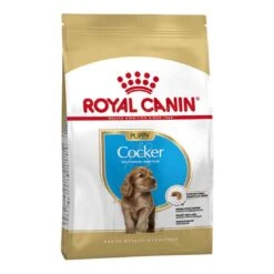 Pet Dog Shop -Pet Dog Shop royal canin puppy cocker dry kibble front