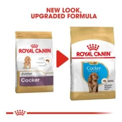 Royal Canin Cocker Spaniel Junior 3kg -Pet Dog Shop royal canin puppy cocker dry kibble new look